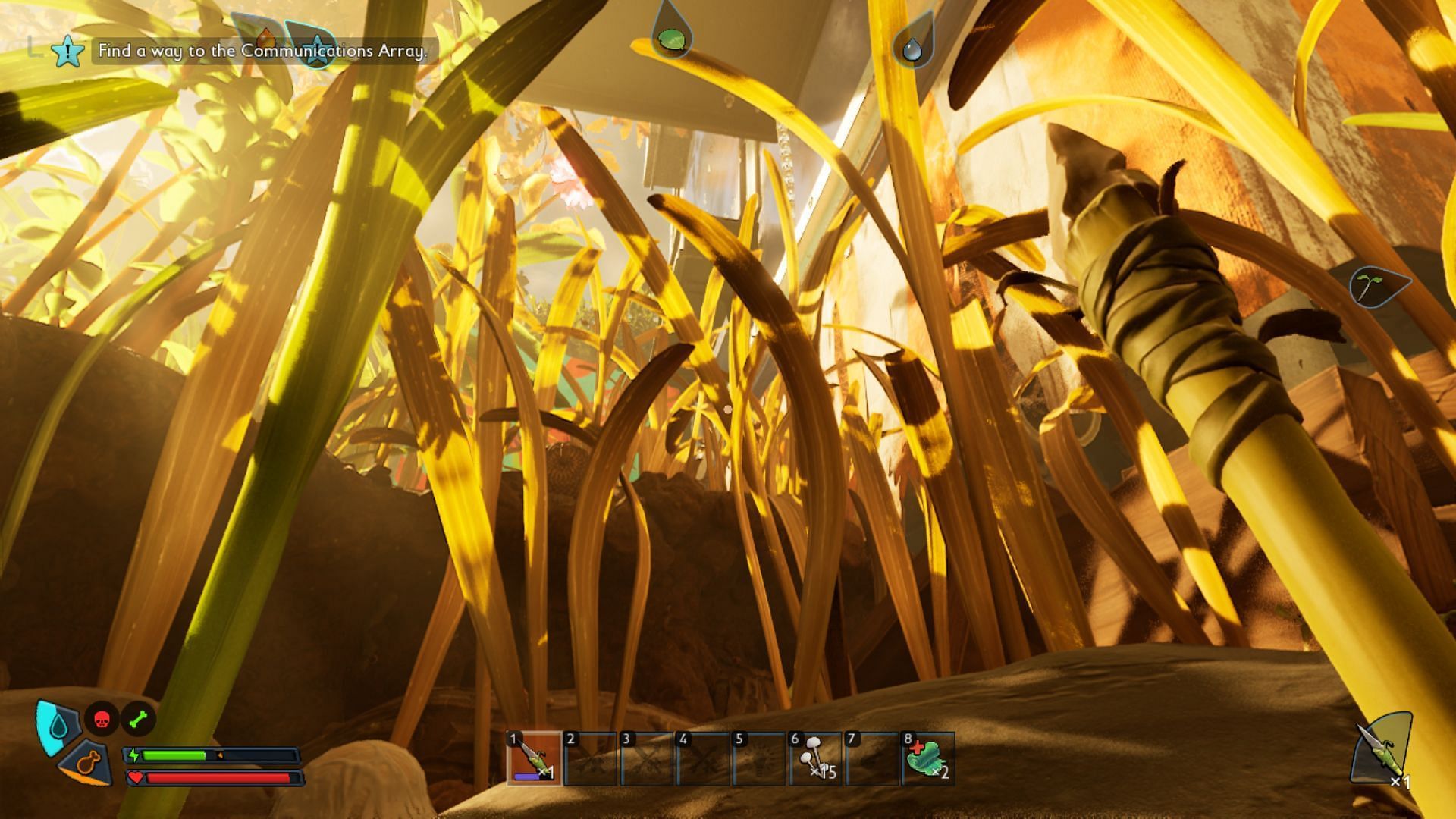 Dry grass has a yellowish color (Image via Obsidian Entertainment)